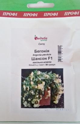 Насіння Бегонія Шансон ванільно-жовте F1 50 шт., Cerny, фото 2