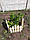 Паркан декор садовий (штахетник) /Паркан декоративний 40 мм - штахет, фото 6
