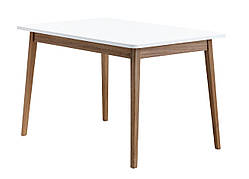 Стіл обідній білий із темними ніжками 120 см