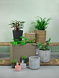 Підлоговий великий садовий горщик для рослин натура (штучний ротанг) , buuba, фото 3