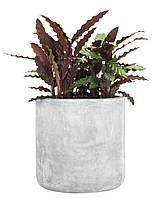 Підлоговий садовий горщик вазон Штучна глина  сірий, buuba