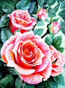 Алмазна вишивка Huacan Роса на трояндах 20х30 см, повна викладка, квадратні стрази