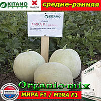 Насіння, диня СВІТА F1/MIRA F1 (KS 7037 F1) 100 насіння ТМ Kitano Seeds (Нідерланди)