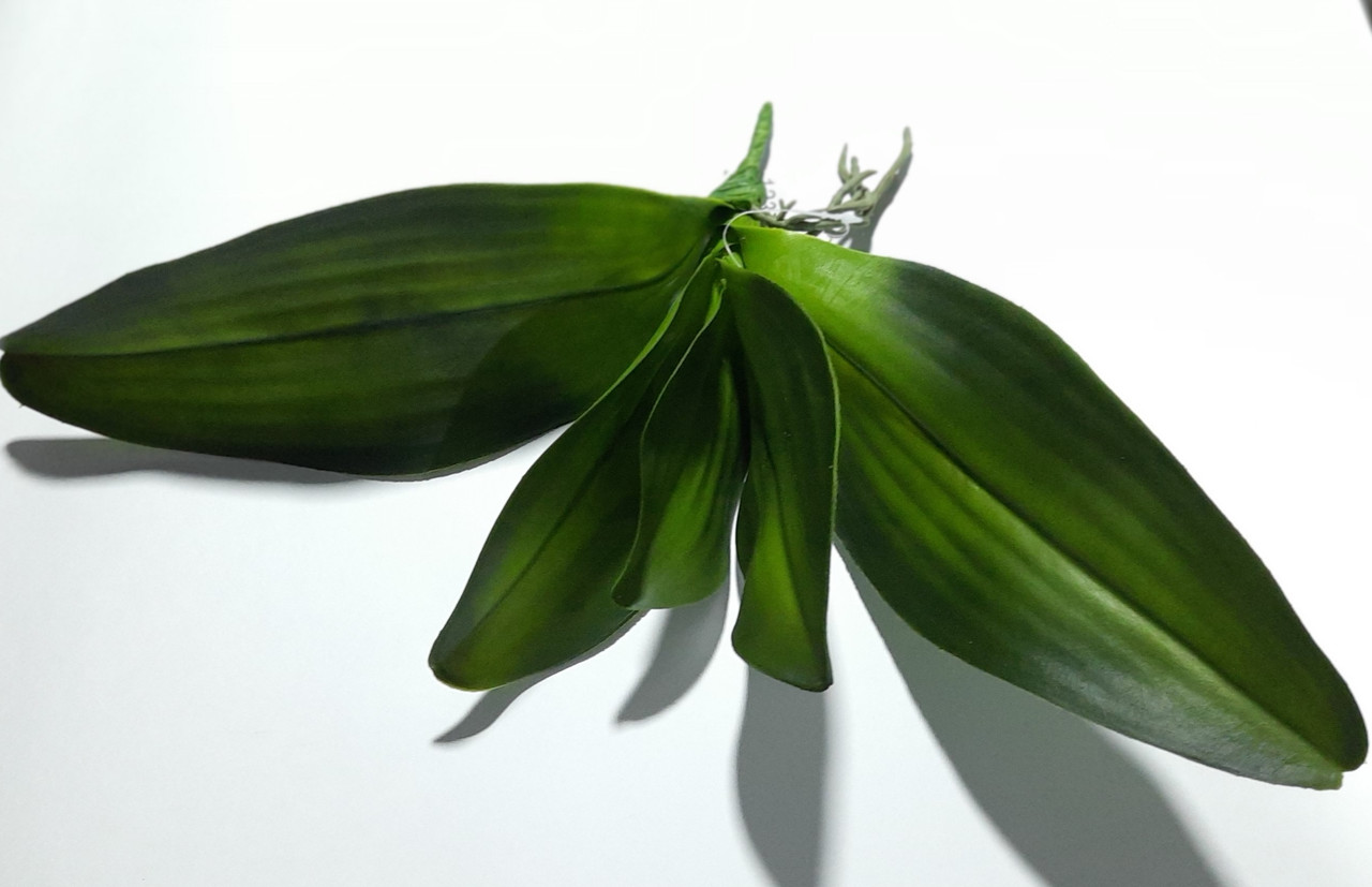 Листя орхідеї штучні 33 см, латекс