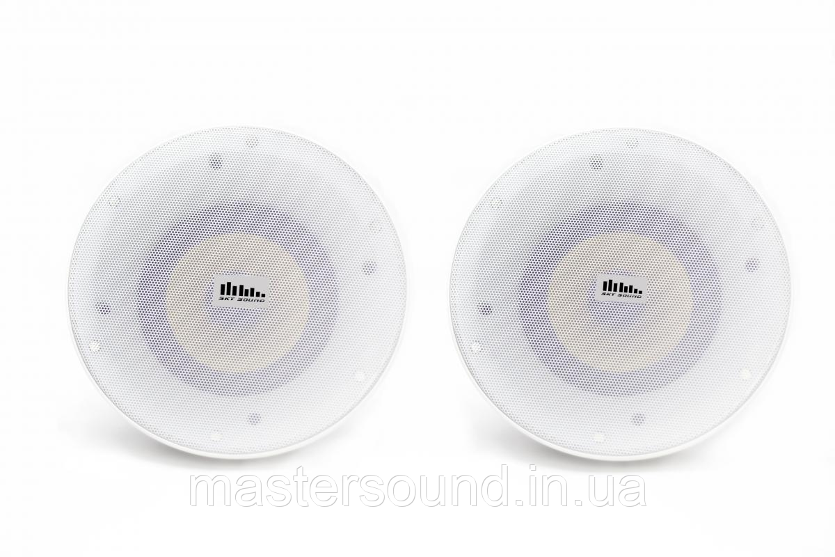 Комплект стельових динаміків Sky Sound FLC-5 ActiveBTWI-FI, фото 1