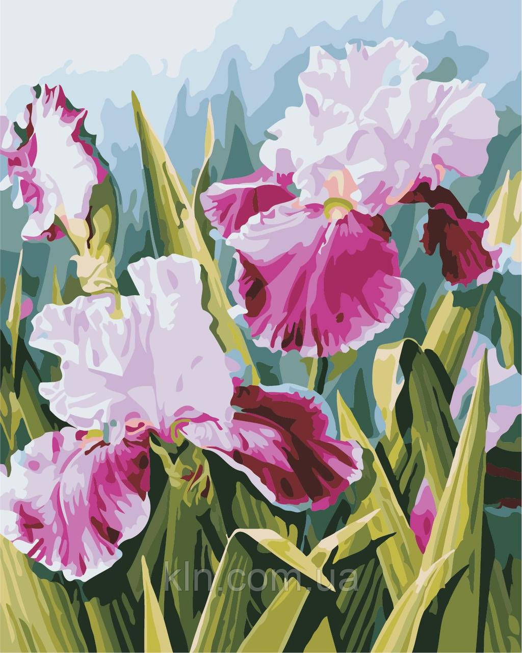 Картина за номерами ArtStory Яскраві іриси 40 х 50 см (арт. AS0333)