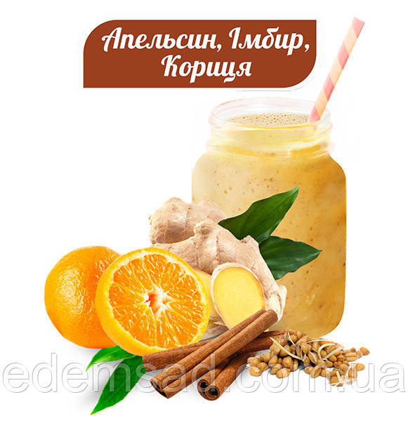 Вітамінно-білковий коктейль АПЕЛЬСИН-ІМБИР-КОРИЦЯ, 20 г, клітинне харчування