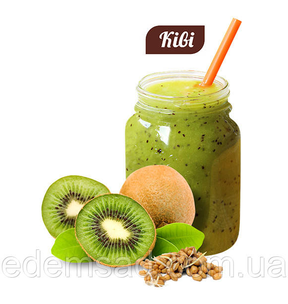 Вітамінно-білковий коктейль КІВІ, 20 г, клітинне харчування, фото 1