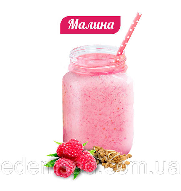 Вітамінно-білковий коктейль МАЛИНА, 20 г, клітинне харчування