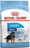 Royal Canin Maxi Puppy сухий корм для цуценят великих порід 4 кг