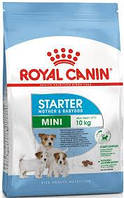 Royal Canin Mini Starter сухий корм для цуценят міні порід в період відлучення і вагітних собак 1 кг