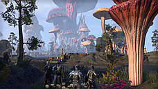 The Elder Scrolls Online Tamriel Unlimited, фото 6