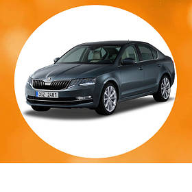 Skoda Octavia 2015-2019