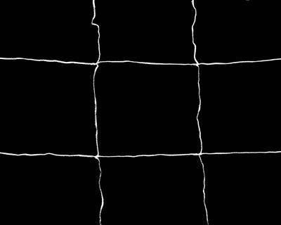 Сітка для підтримки рослин Light House Trellis Netting 150x450 см, фото 3