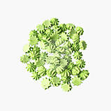 Безе — Жовте — 300 г, фото 3