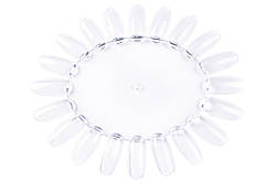 Палітра ромашка для дизайнів, прозора, 20 типів