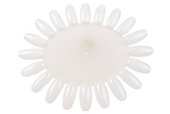 Палітра ромашка, молочна