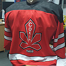 Пошиття хокейних светрів на замовлення, фото 2