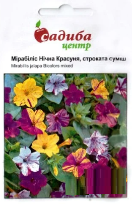 Насіння Мірабіліс Нічна Красуня суміш 0,5 г, Hem Zaden, фото 2