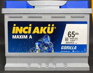 Inci Maxima (Gorilla)