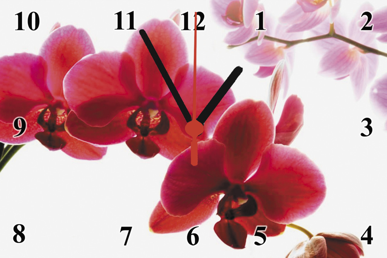 Часы настенные стеклянные "Фаленопсис" - фото 1 - id-p160809254
