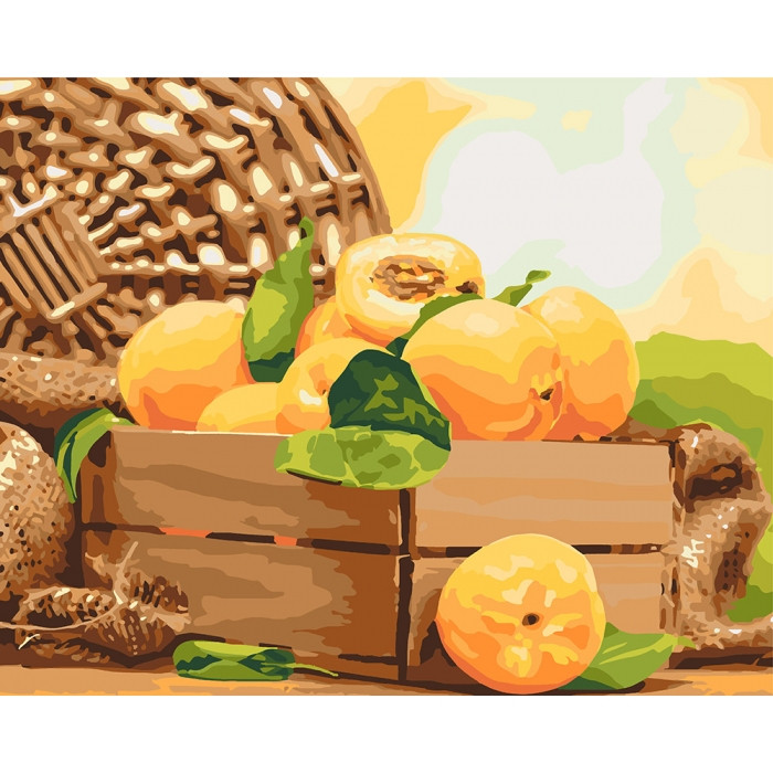 Картина за номерами 40×50 см. Золотавий абрикос. Ідейка. КНО5565