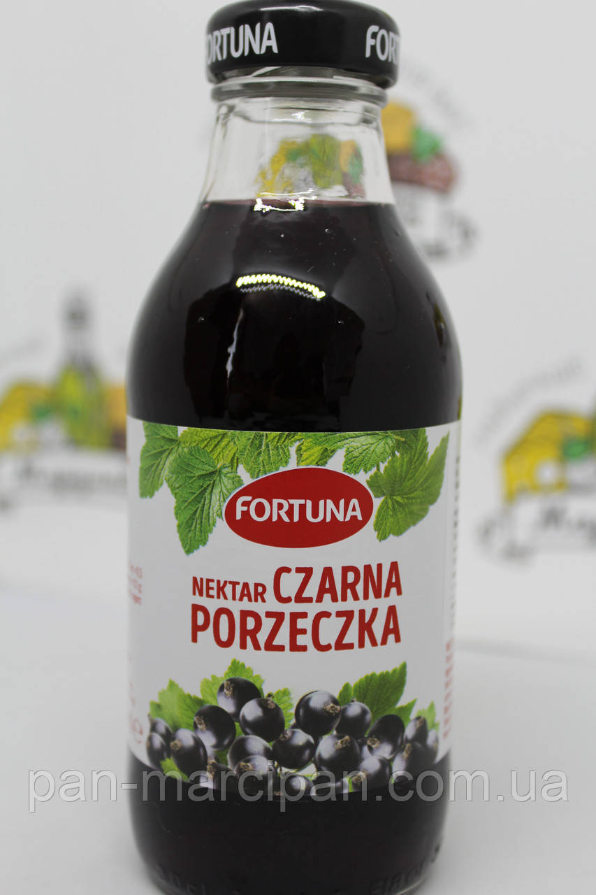 Сік Fortuna Czarna porzeczka (nektar) 300мл, фото 1