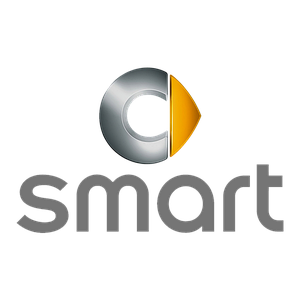 Авто чохли на Smart