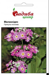 Насіння квітів Примула "Малакоїдес", лососева, 0.01 г, "Садиба центр", Україна
