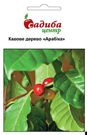 Семена кофейное дерево Арабика 1 г, Hem Zaden