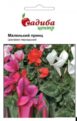 Насіння квітів Цикламен перський "Маленький принц", 3 шт., "Хем Заден", Нідерланди., фото 2