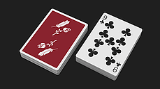 Карти гральні | Remedies Playing Cards by Madison x Schneider, фото 2