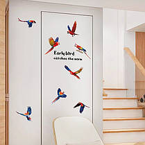 Наклейки на стіни, шафки в дитячий сад, в дитячу кімнату "8 папуг" 85см*117см (лист 50см*70см), фото 2