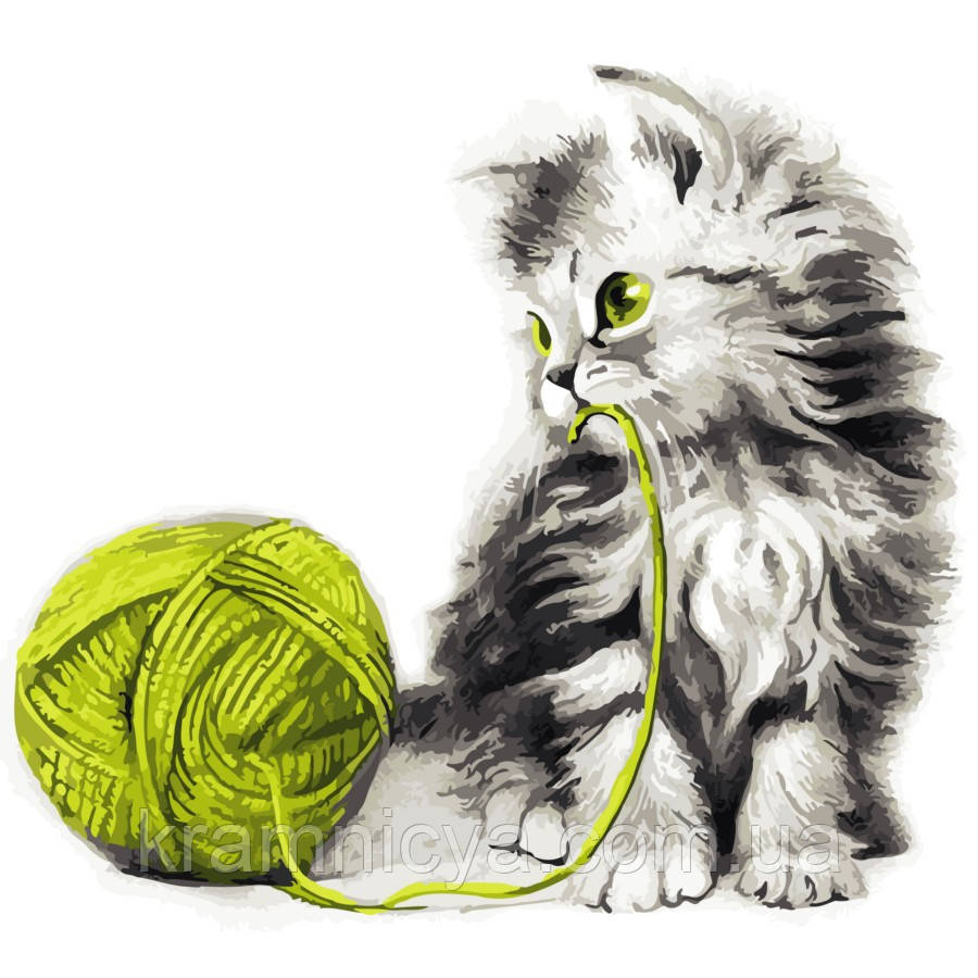 Картина за номерами Кошеня з клубком, 40х40 ArtStory (AS0806)