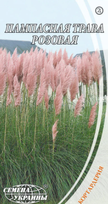 Насіння Пампасна трава рожева 0,1 г, Насіння України