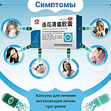 Від вірусної інфекції Lianhua Qingwen Jiaonang, фото 5