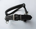 Шлейка для небольших пород собак "Lockdog" черная с бусинами, фото 6