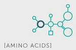 Амінокислоти