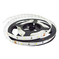 Стрічка LED RISHANG 12V 6W 4000K 30led 10мм IP33