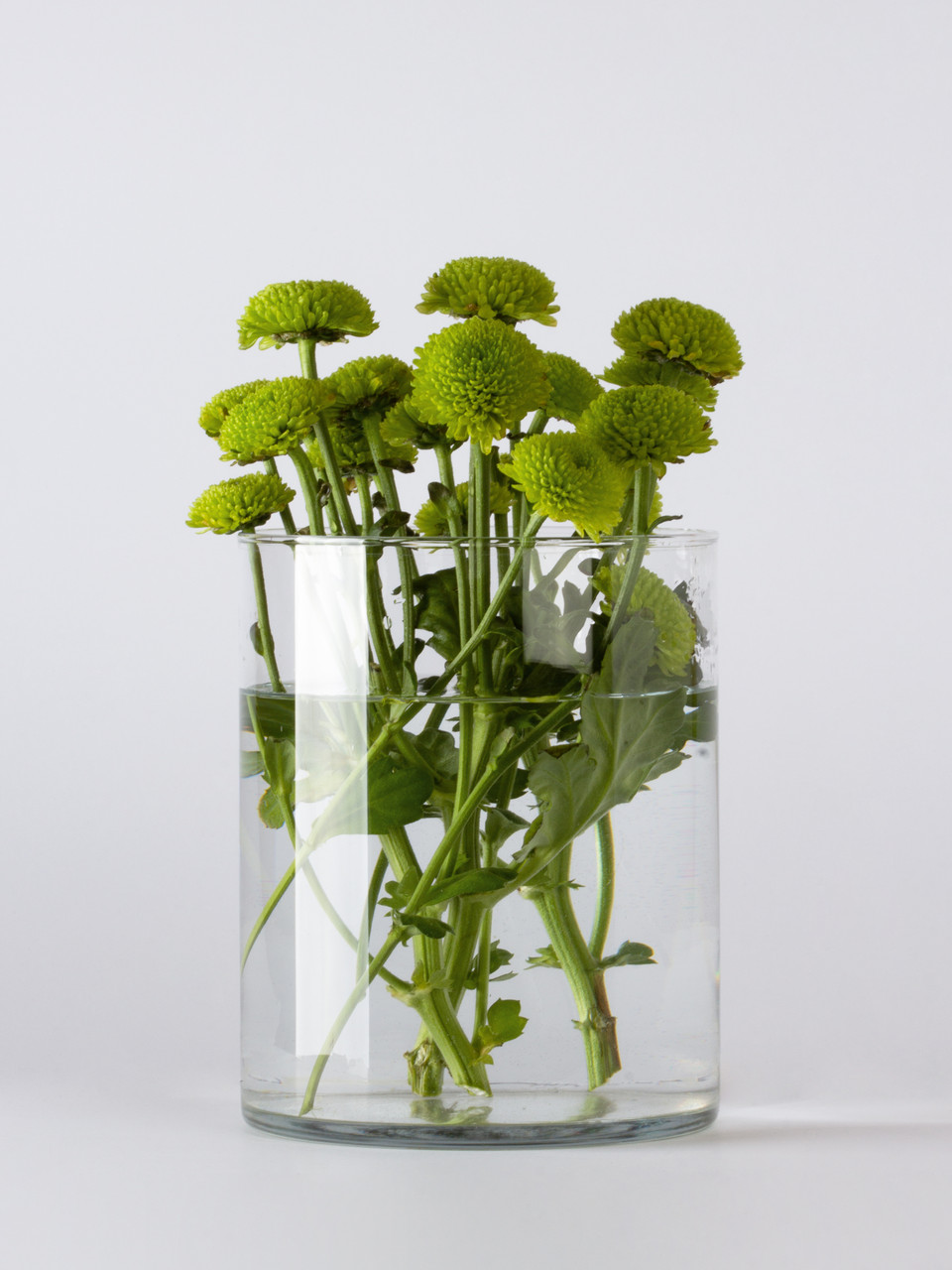 Ваза скляна "Циліндр" h 200 d160 об'єм 3л., фото 1