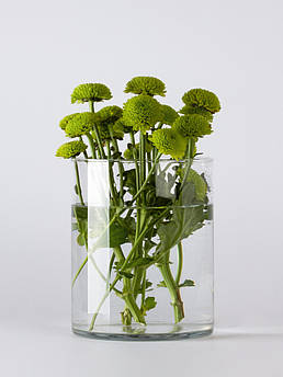 Ваза скляна "Циліндр" h 200 d160 об'єм 3л.