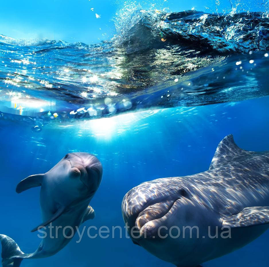 Фотообої 52682