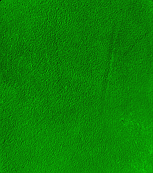 Фарба для замші та нубуку 100 мл зелена bskcolor platinum