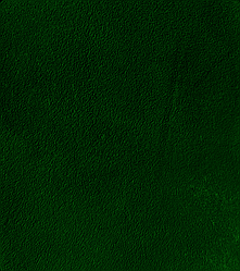 Фарба для замші та нубуку 100 мл темно-зелена bskcolor platinum