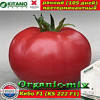 Насіння, томат рожевий КІБО F1 (KS 222), 1000 насіння, ТМ Kitano Seeds,