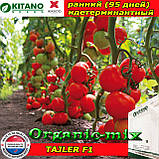 Насіння, томат червоний тайлер F1/TAJLER F1, 1000 насіння, ТМ Kitano Seeds,, фото 3