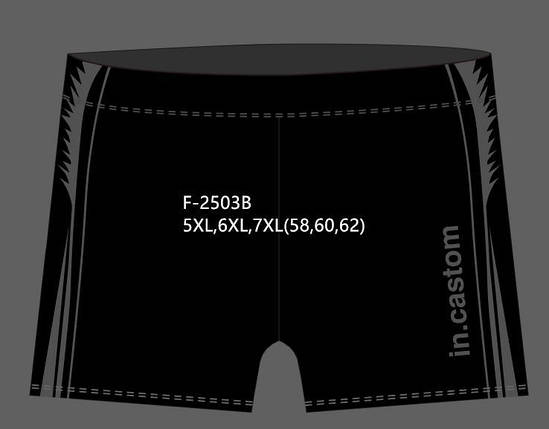 Плавки чоловічі купальні in.CASTOM (5XL за 7XL) арт.F-2503B, фото 1