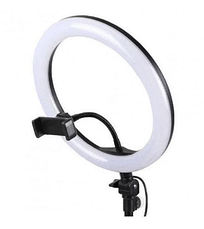 Світлодіодна кільцева Led лампа для фото та відео зйомки Ring Fill Light ZD666, 26см (без штативу), фото 2