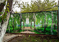 Сітка з картинкою, фотосітка, фотозабор., фото 4