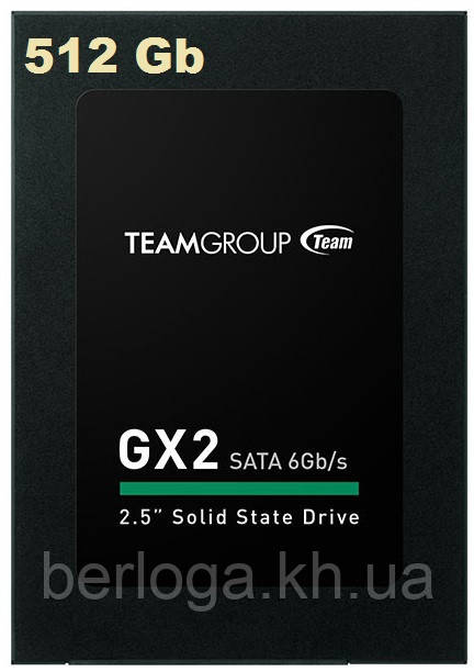 Team Group GX2 512 GB (T253X2512G0C101)
